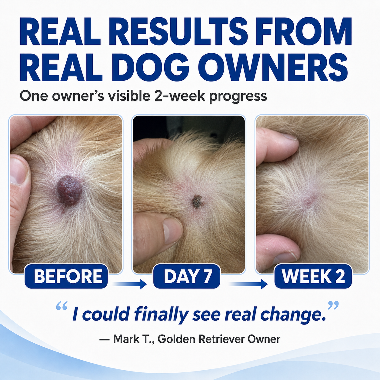 ✨🐶Dobshow®Advanced Dog Wart Remover | Painless & Fast-Acting Drops
