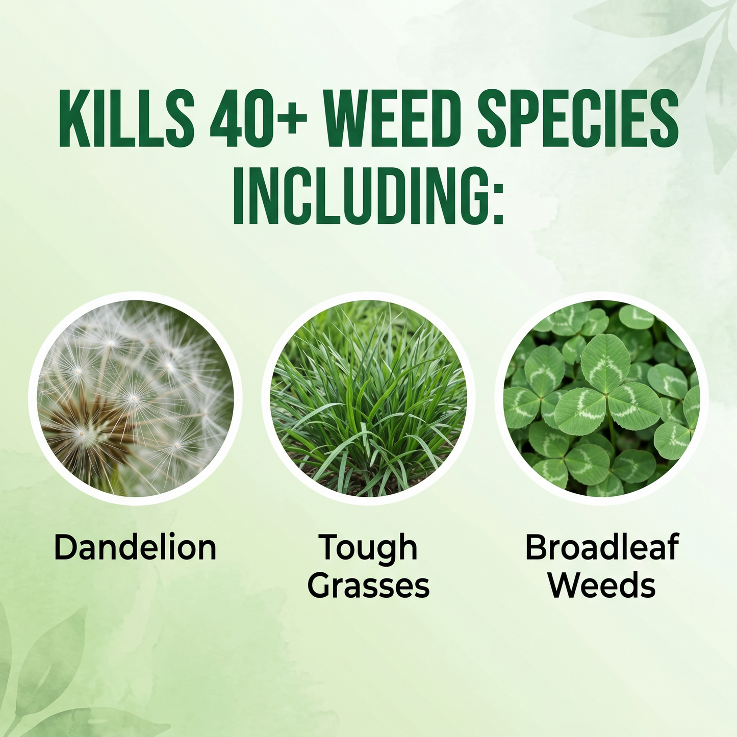 🏆Healrize® 𝟐-𝐢𝐧-𝟏 𝐌𝐚𝐱 𝐒𝐭𝐫𝐞𝐧𝐠𝐭𝐡 𝐇𝐞𝐫𝐛𝐢𝐜𝐢𝐝𝐞: Fast Acting Results on Glyphosate-Resistant Weeds